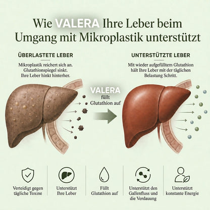 Kompletter Leber-Detox – 20:1