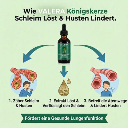 Reine Königskerzen Extrakttropfen – Lungendetoxformel